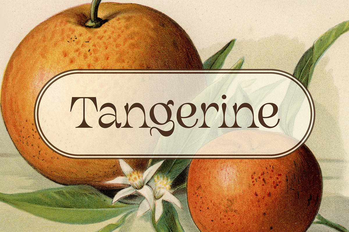 Magritte Surrealist Serif Font, a Font by Molly Suber Thorpe (Photo 6 of 10)