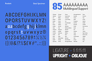 Readant Condensed - Family Font, a Sans Serif Font by Rastype (Thumbnail 5 of 10)