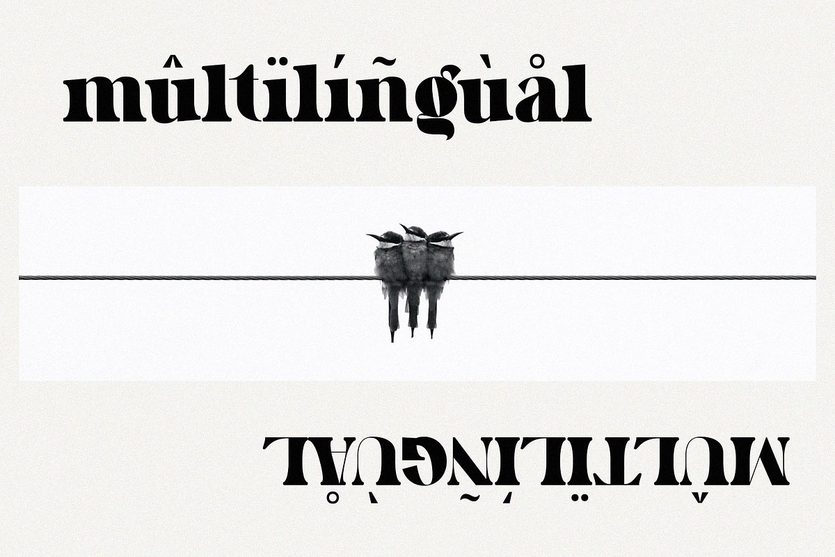 Fimlen - Display Serif, a Serif Font by epicatype (Photo 5 of 9)