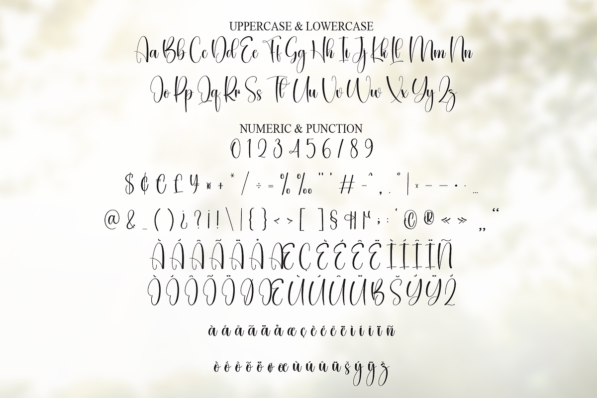 Someday | Script Font, a Handwritten Font by Scratchones (Photo 7 of 9)