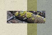 Nagomi - Japanese Paper Textures, a Texture Graphic by alonahaidash (Thumbnail 8 of 26)