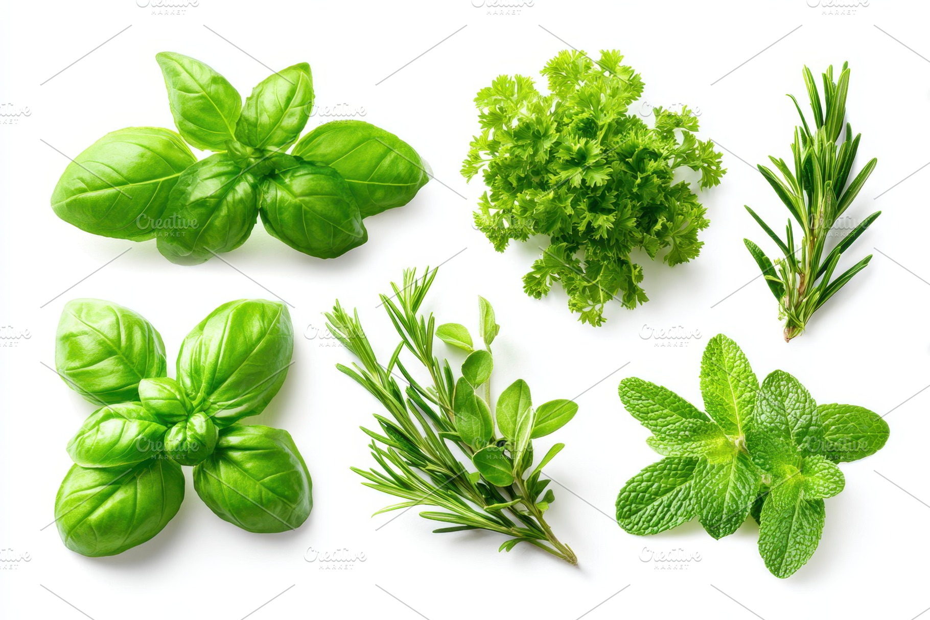 Assorted fresh green herbs on white background, a Food & Drink Photo by AlyaAnd