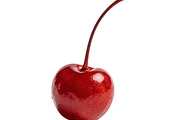 All Fruits Bundle Master Collection, a Food & Drink Photo by FlyeredTemplate (Thumbnail 97 of 130)