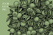 Yuzu - Citrus Fruit and Patterns, a Food Illustration by Yevheniia (Thumbnail 6 of 12)