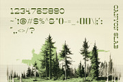 Canyon Slab - Wild West Typeface, a Slab Serif Font by HipFonts (Thumbnail 8 of 9)