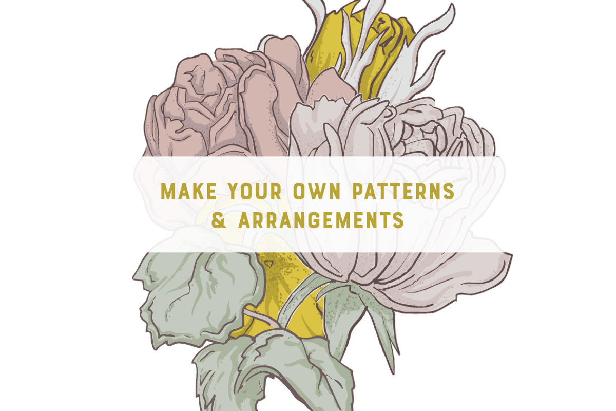 FLORA | 7 Vector Illustrations, an Illustration by Britt & Kit (Photo 3 of 4)