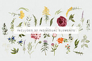 San Clemente Script + Spring Florals, a Script Font by Jen Wagner Co (Thumbnail 5 of 16)