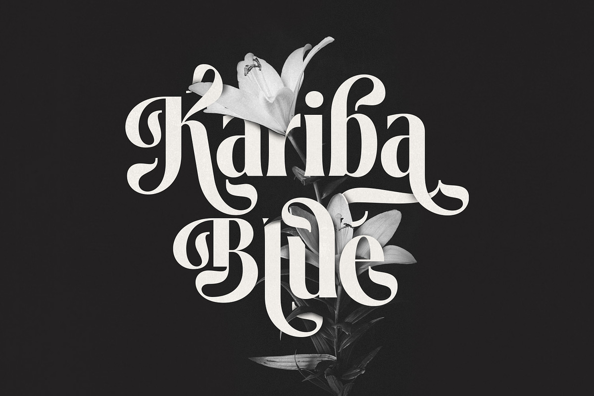 Loubrisa - Playful Branding Fonts, a Serif Font by creativemedialab (Photo 10 of 13)