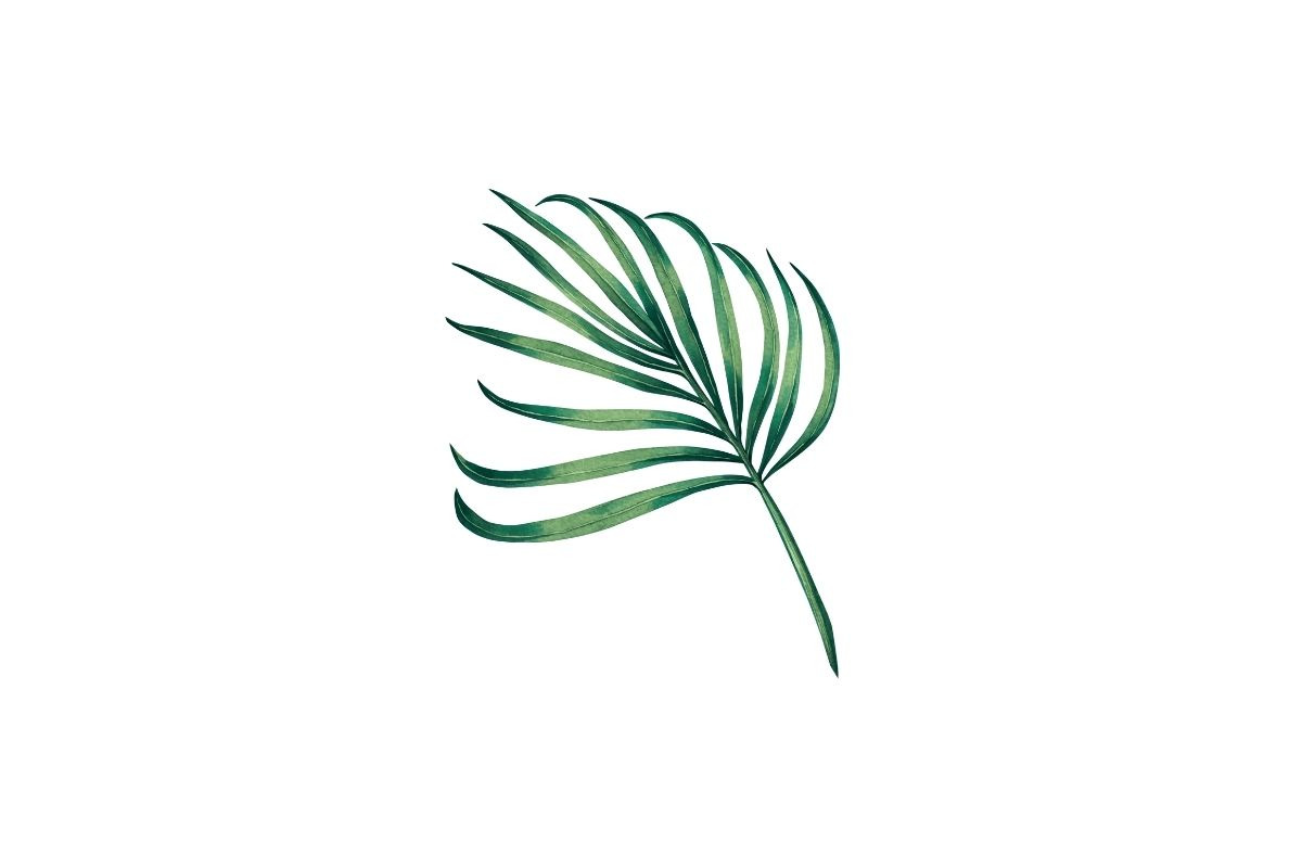 Watercolor Tropical Leaves Clipart, an Object Illustration by Awieee1 (Photo 2 of 3)