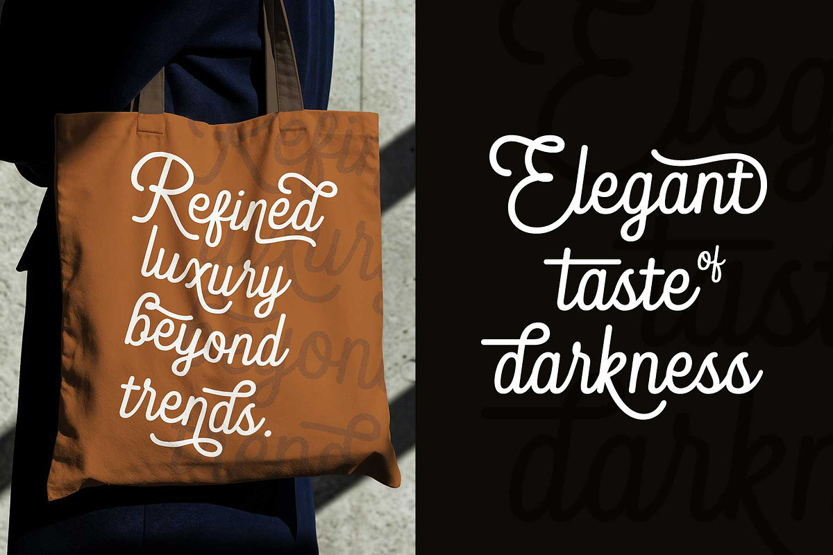 Blandony - Modern Vintage Monoline, a Script Font by Novitype (Photo 9 of 12)