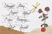 Vagentha Calligraphy | Script, a Script Font by Jackgridden (Thumbnail 5 of 9)