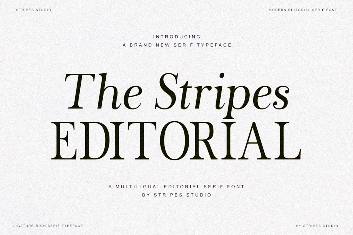 The Stripes Editorial + Italics, a Serif Font by Stripes Studio (Photo 15 of 23)