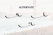 California | Script Font, a Handwritten Font by Scratchones (Thumbnail 8 of 9)