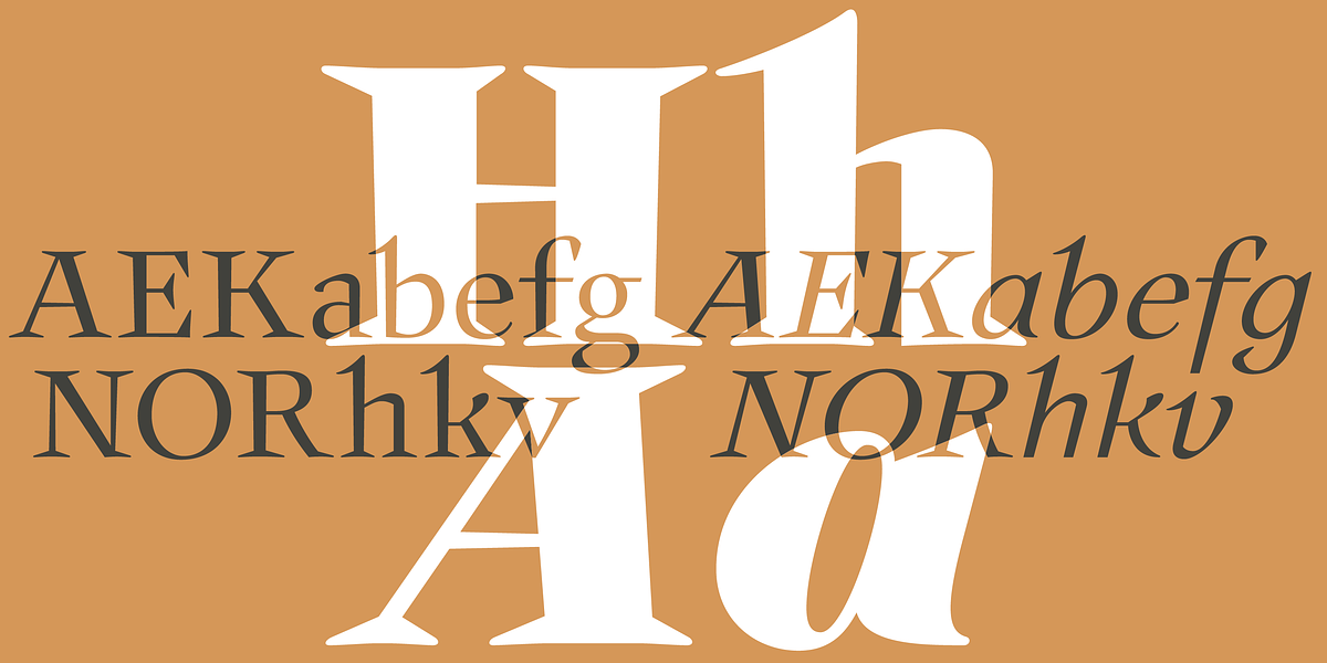 Auxerre, a Serif Font by ingoFonts (Photo 3 of 8)