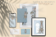 Botanical ornaments in the Art Nouve, a Pattern Graphic by Collection by VY (Thumbnail 4 of 9)