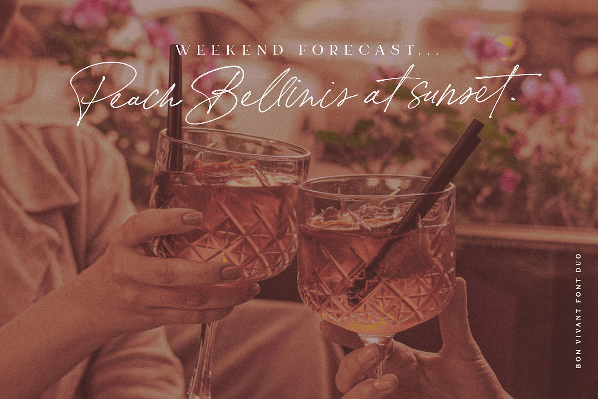 Bon Vivant Collection, a Serif Font by Nicky Laatz (Photo 20 of 44)