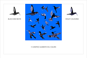 INK DREAMS: FLYING BIRDS, a Food Illustration by HANNA V (Thumbnail 3 of 12)