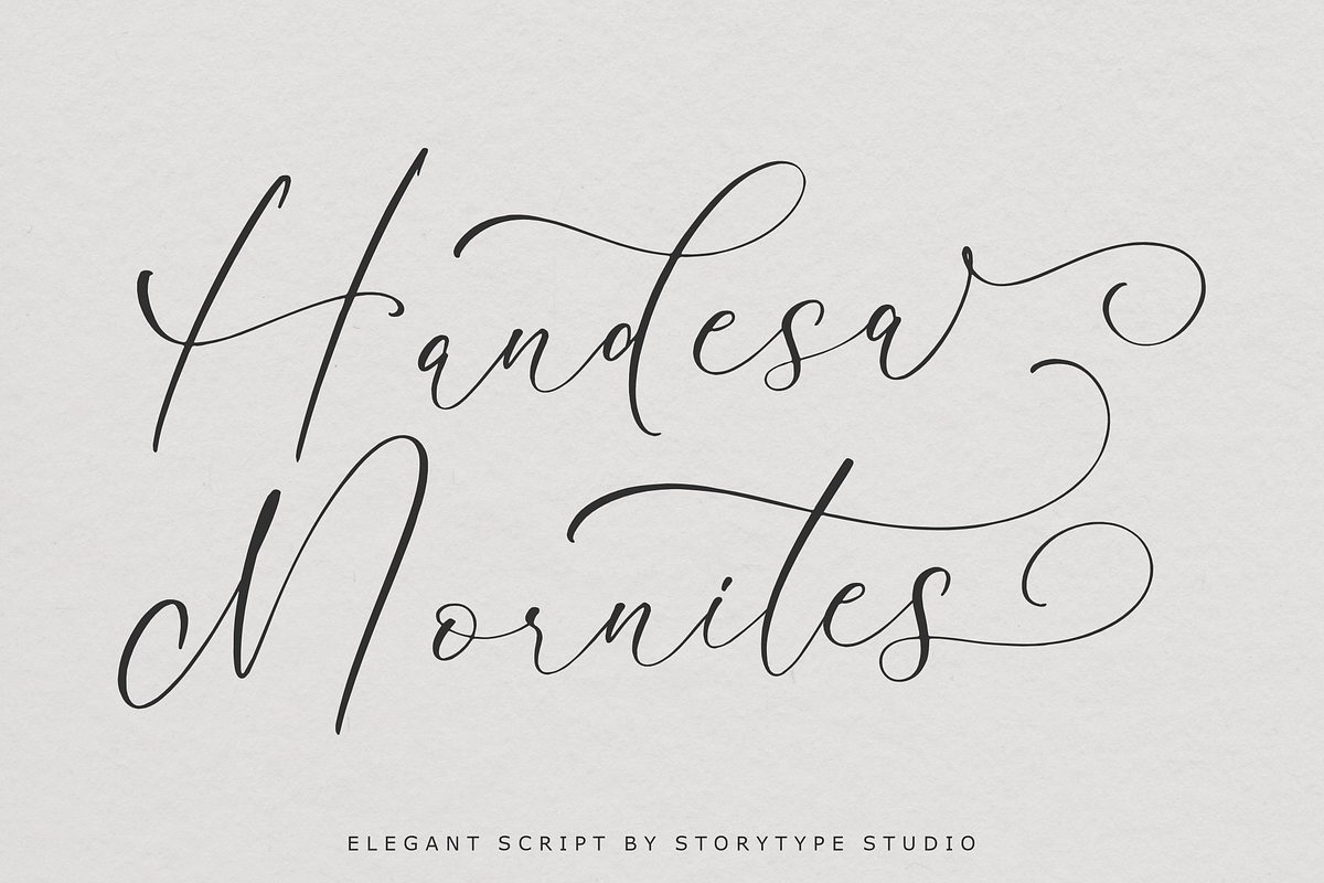 Handesa Mornites Elegant Script, a Script Font by Storytype Studio (Photo 1 of 15)