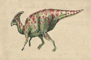 Dinosaurs Watercolor #1  Bundle, an Illustration by Doggy Days (Thumbnail 5 of 14)