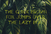 Aquarius – A Tropical Font Family, a Sans Serif Font by GraphicsByKassy (Thumbnail 3 of 19)
