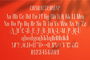 Riledaz || Condensed Serif Font, a Serif Font by Ermedia Studio (Thumbnail 10 of 10)