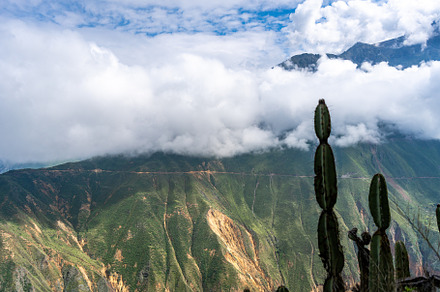 Colca Canyon with cactus in the mist, Peru