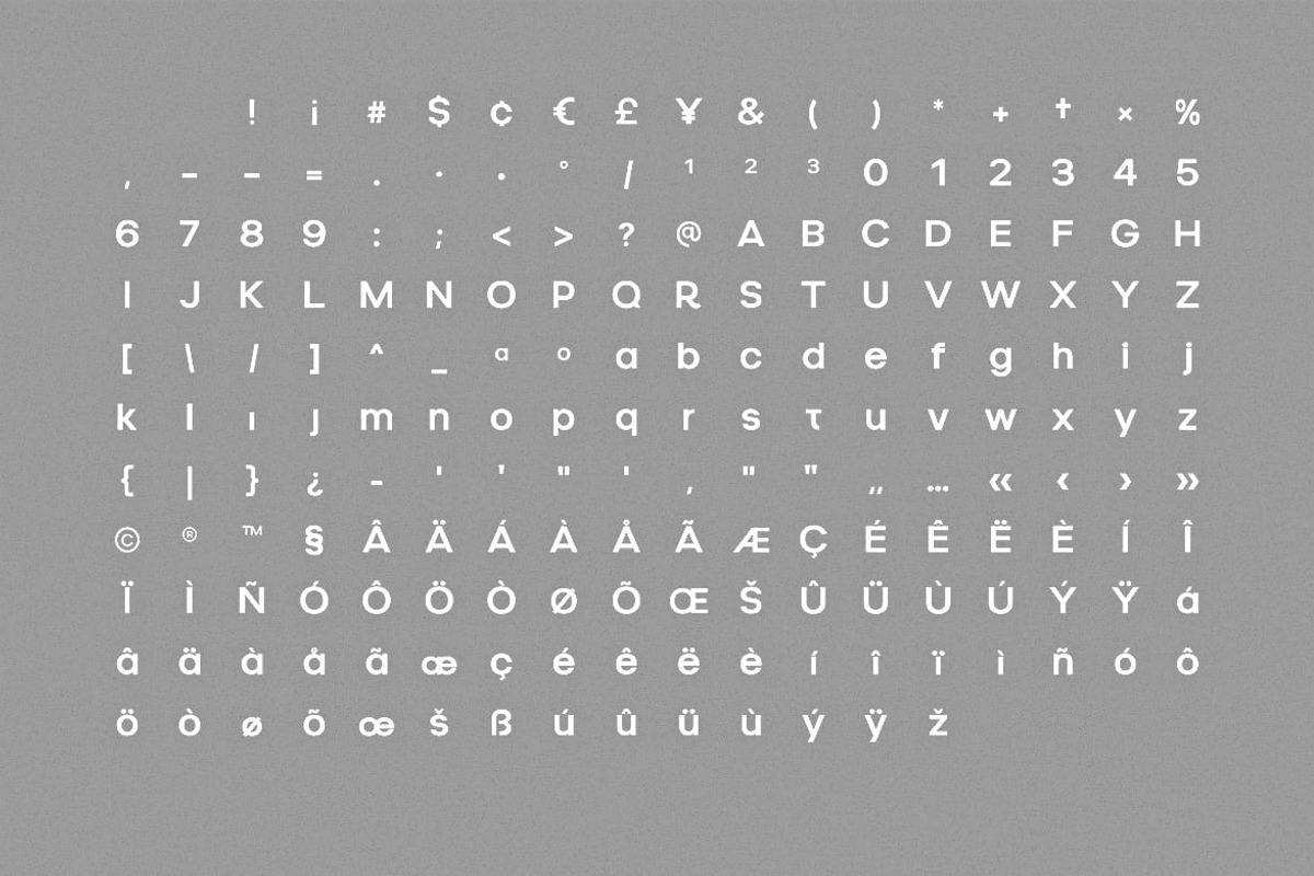 Relieo - Display, a Sans Serif Font by Webhance Studio (Photo 12 of 12)
