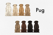 Watercolor Small Dog Breeds, an Animal Illustration by ColorfulPT (Thumbnail 2 of 8)