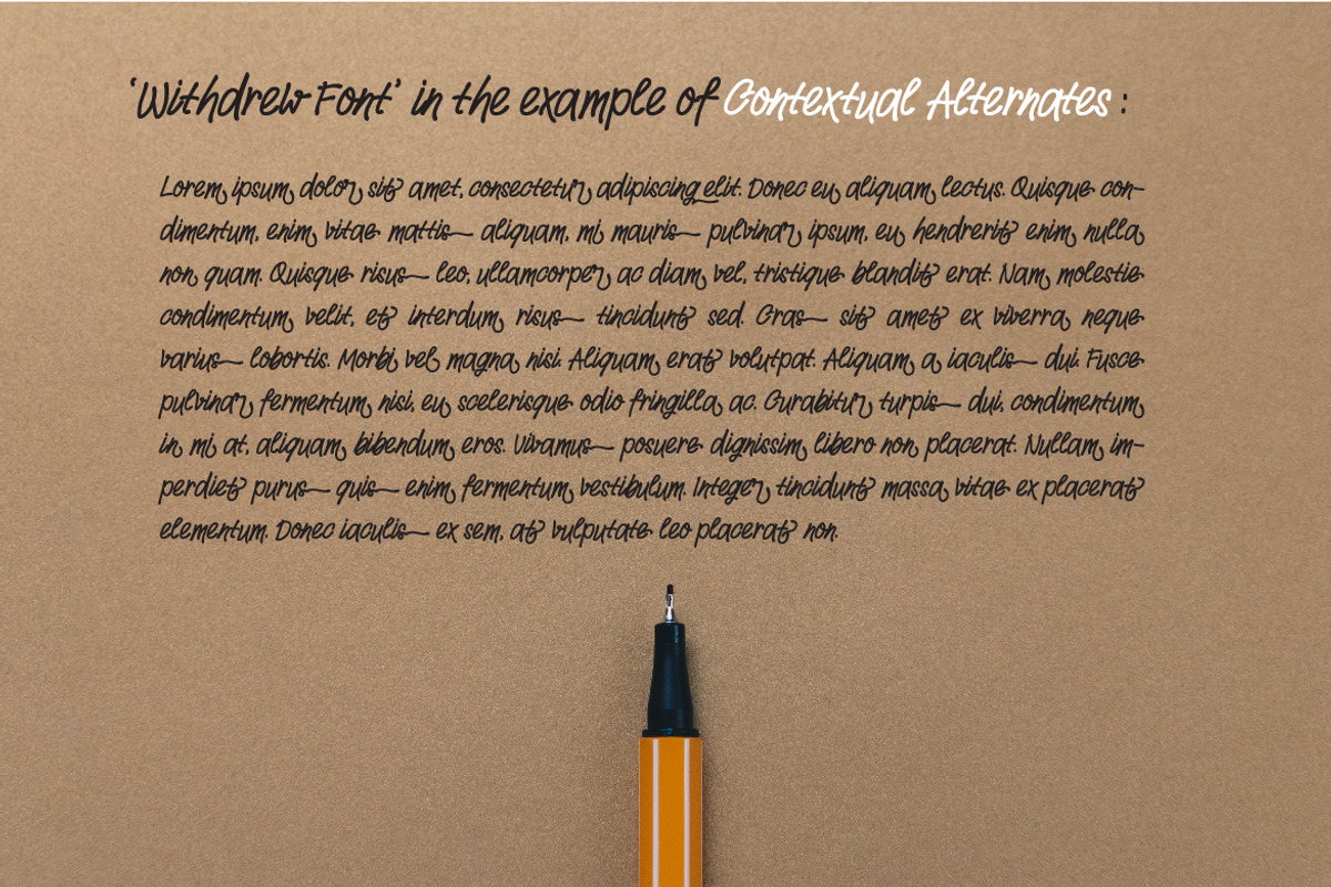 Withdrew - Modern Script Font preview 8