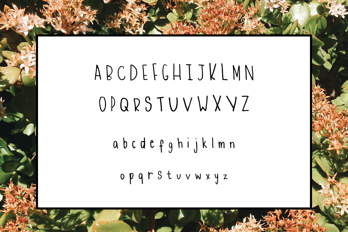 EBONY - a handwritten font preview 2