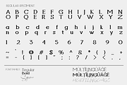 Joachim Slab - Elegant Font Duos, a Slab Serif Font by Mofr 24 (Thumbnail 18 of 20)
