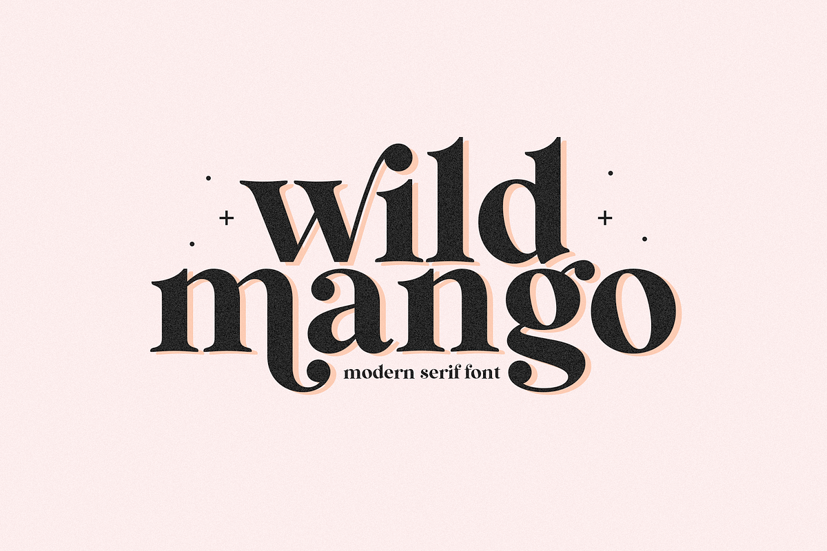Wild Mango | Modern Serif Font, a Serif Font by KA Designs (Photo 1 of 24)