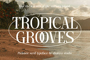 PickMee - Modern Elegant Serif Font, a Serif Font by Shakira Studio (Thumbnail 4 of 10)