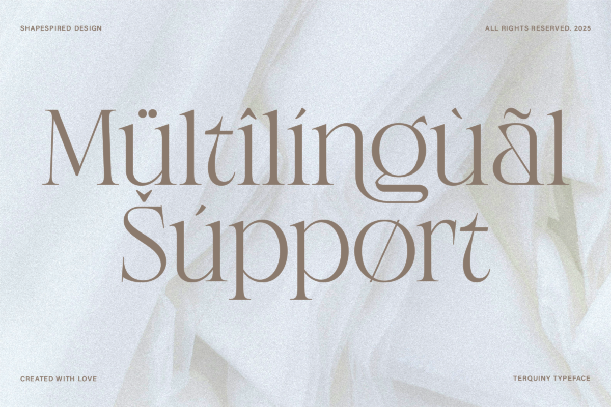 Terquiny - Modern Luxury Serif, a Serif Font by Shapespired Design (Photo 17 of 17)