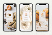 Charming Fall Icons, an Icon by Polar Vectors (Thumbnail 11 of 12)
