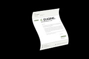 Professional Letterhead Design, a Stationery Template by Neermana (Thumbnail 3 of 4)