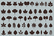 Autumn Foliage: 100 Leaves Pack, an Object Illustration by Veyla (Thumbnail 5 of 15)