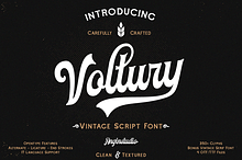 Voltury Vintage Script (with extras)