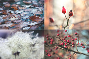 Autumn Details Photo Pack, a Templates & Theme by c l a r a X Y (Thumbnail 3 of 3)