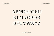 Romania Elegant Serif Font, a Serif Font by UICreative (Thumbnail 5 of 13)
