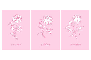 Peony Flowers, Cards Backgrounds Set