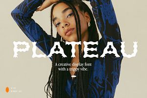 Plateau Font