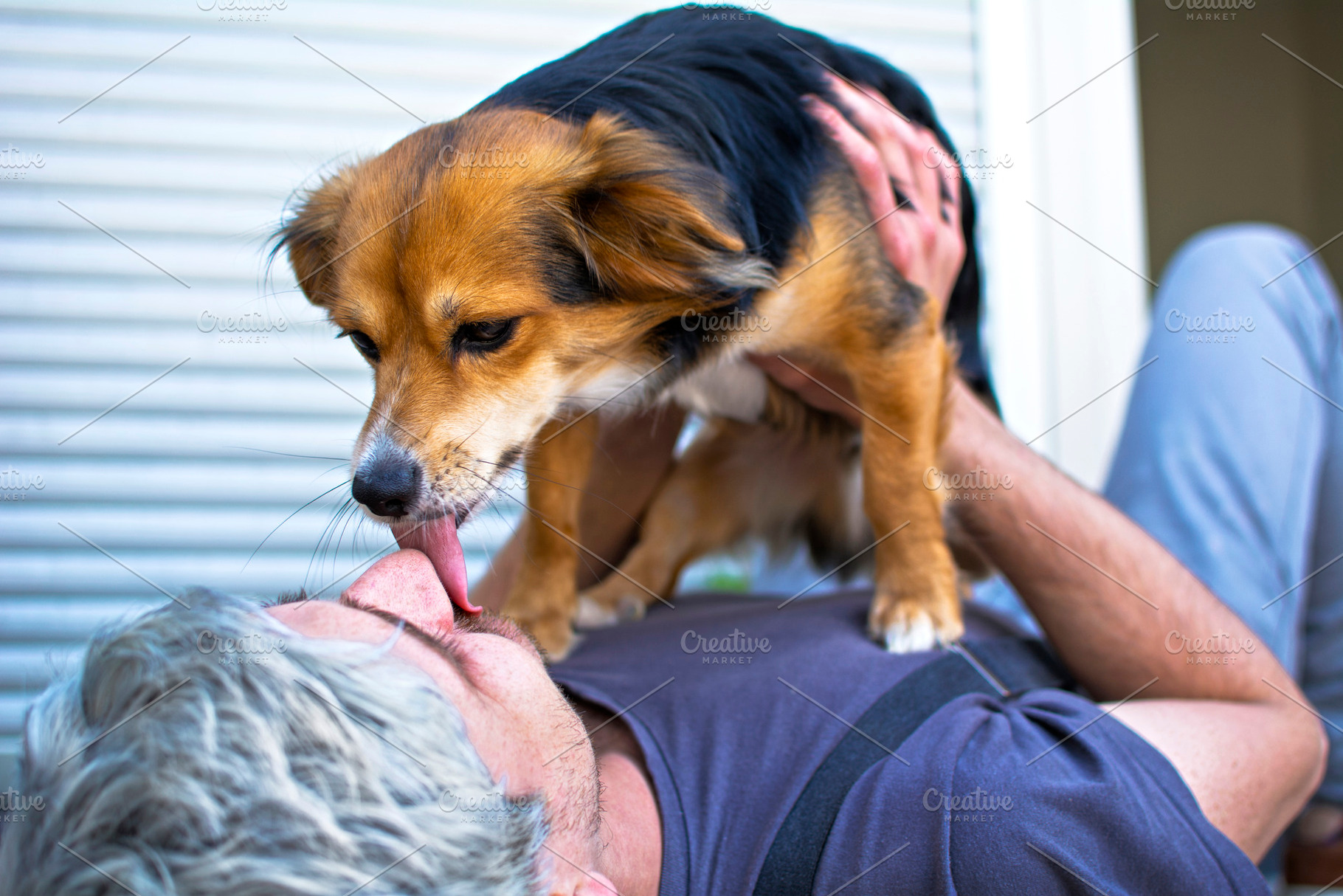 A dog licking its owner's face., an Animal Photo by RaquelVizcaíno