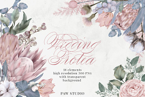 Wedding Protea Flowers Cotton Roses, an Illustration by PawGraphic