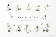 Eucalyptus watercolor illustrations, a Decorative Illustration by Liliia Polos Illustration (Thumbnail 5 of 11)