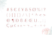 Lunates Font Family – Sans Serif, a Sans Serif Font by RC graphics (Thumbnail 3 of 9)