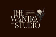The Goera Elegant Serif Font, a Serif Font by Graphicxell (Thumbnail 4 of 8)