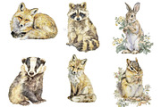 Watercolor Woodland Animals clipart, an Illustration by Designworld (Thumbnail 4 of 5)