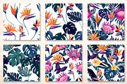 Monstera and Strelitzia watercolor, an Illustration by Salted Galaxy (Thumbnail 10 of 15)