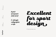 TT Polls, a Slab Serif Font by TypeType (Thumbnail 3 of 18)